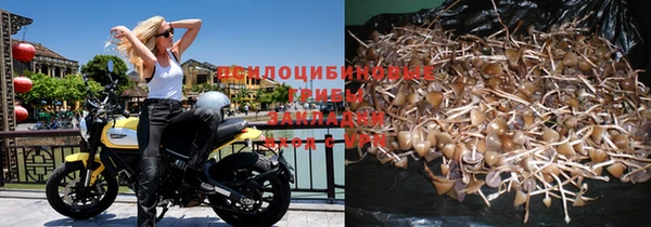 ПСИЛОЦИБИНОВЫЕ ГРИБЫ Рославль