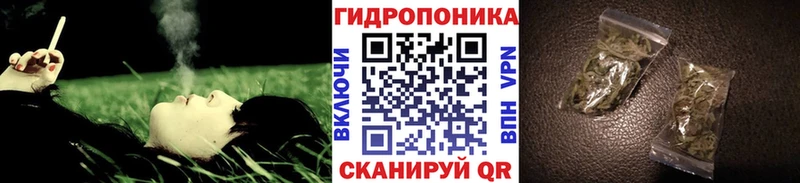 Купить  Саратов  Шишки марихуана Ganja 